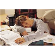 5. Regla - Börnin ráða ferðinni