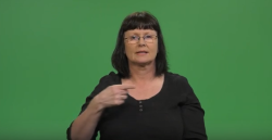 Zika móskítófluga