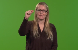 Gosi (sögupersóna)